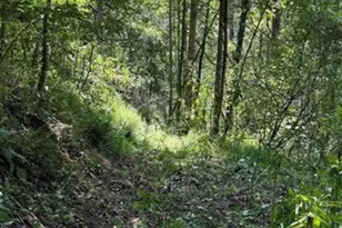 108 Lanning Rd, Clyde, NC 28721 - Photo 9