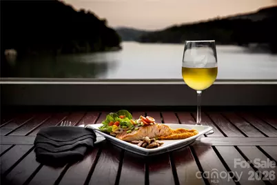 222 West Lake Drive N, Lake Lure, NC 28746 - Photo 37