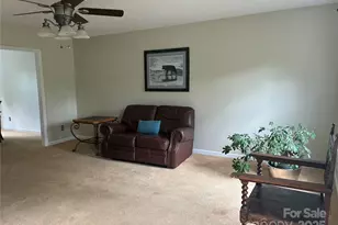 61 Rolling Hills Rd, Mills River, NC 28759 - Photo 19