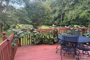 61 Rolling Hills Rd, Mills River, NC 28759 - Photo 31