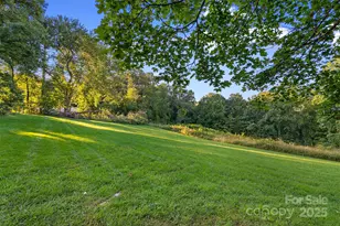 163 Pisgah View Rd, Asheville, NC 28806 - Photo 39