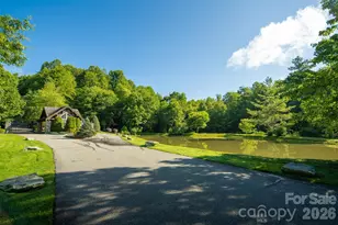 Tbd Boulder Creek Dr, Boone, NC 28607 - Photo 19