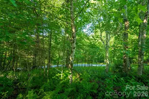 Tbd Boulder Creek Dr, Boone, NC 28607 - Photo 33