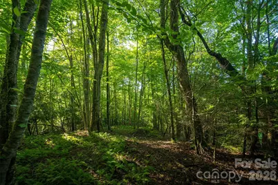 Tbd Boulder Creek Drive #1, Boone, NC 28607 - Photo 17