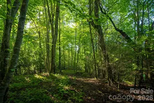 Tbd Boulder Creek Dr, Boone, NC 28607 - Photo 17