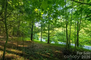 Tbd Boulder Creek Dr, Boone, NC 28607 - Photo 15