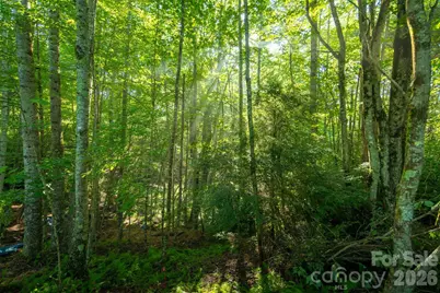 Tbd Boulder Creek Drive #1, Boone, NC 28607 - Photo 31
