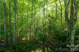 Tbd Boulder Creek Dr, Boone, NC 28607 - Photo 31