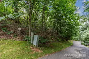 Lot 84 Ridgepoint View, Burnsville, NC 28714 - Photo 3