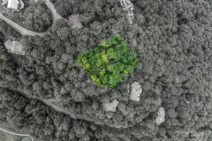 Lot 84 Ridgepoint View, Burnsville, NC 28714 - Photo 7