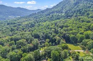 81 Jericho Dr, Tryon, NC 28782 - Photo 43