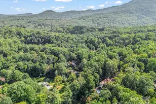 81 Jericho Dr, Tryon, NC 28782 - Photo 37