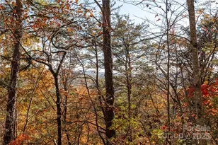 2355 Round Mountain Rd, Brevard, NC 28712 - Photo 23