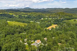 248 Wisdom Cove Rd, Flat Rock, NC 28731 - Photo 45