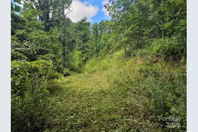 97 Destination Drive, Asheville, NC 28806 - Photo 5