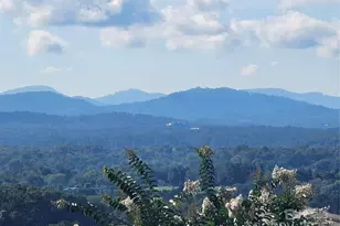 97 Destination Dr, Asheville, NC 28806 - Photo 1
