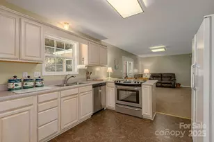 1039 Deep Woods Dr, Marion, NC 28752 - Photo 9