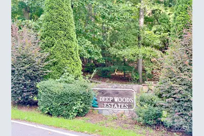 1039 Deep Woods Drive, Marion, NC 28752 - Photo 5