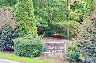 1039 Deep Woods Dr, Marion, NC 28752 - Photo 5