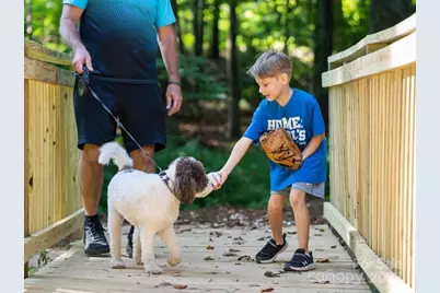 466 Nash Street, Fort Mill, SC 29715 - Photo 23