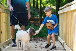 466 Nash St, Fort Mill, SC 29715 - Photo 23
