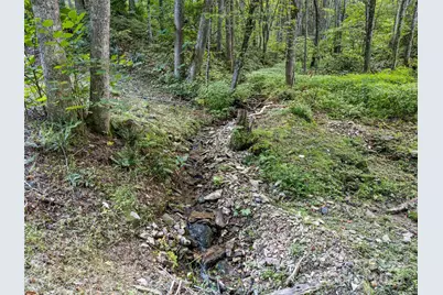 1903 Mauney Cove Road, Waynesville, NC 28786 - Photo 17