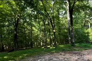 1402 Bloomsberry Ln, Waxhaw, NC 28173 - Photo 5