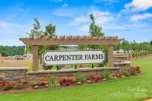 2202 Carpenter Farms Dr, Lincolnton, NC 28092 - Photo 25