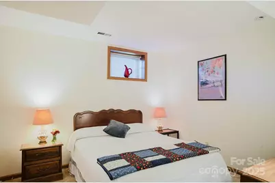 115 Hawkins Creek Road, Hendersonville, NC 28791 - Photo 41