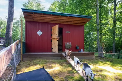 127 Deer Hill Lane, Weaverville, NC 28787 - Photo 47