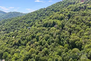 1617 Mountain Gait Dr, Mars Hill, NC 28754 - Photo 9