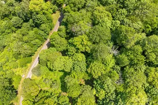 1617 Mountain Gait Dr, Mars Hill, NC 28754 - Photo 17