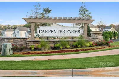 905 Hallman Branch Lane, Lincolnton, NC 28092 - Photo 13