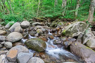 9405 Nc 261 Hwy, Bakersville, NC 28705 - Photo 33