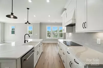 12123 Lavinia Lane, Charlotte, NC 28277 - Photo 13