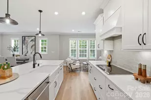 12123 Lavinia Ln, Charlotte, NC 28277 - Photo 17