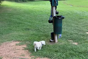 111 Club House Ext, New London, NC 28127 - Photo 39