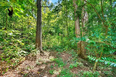 52 Grey Haven Drive, Mills River, NC 28759 - Photo 29