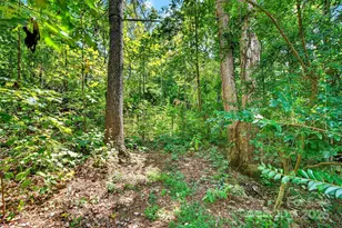 52 Grey Haven Dr, Mills River, NC 28759 - Photo 29