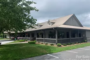 10 Mountain Gait Dr, Mars Hill, NC 28754 - Photo 27