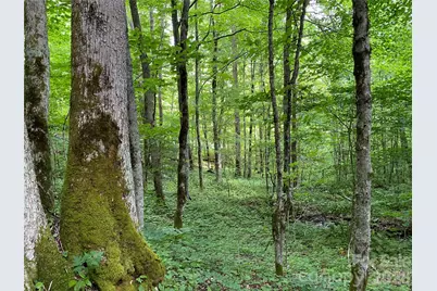 10 Mountain Gait Drive, Mars Hill, NC 28754 - Photo 5
