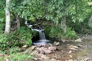 10 Mountain Gait Dr, Mars Hill, NC 28754 - Photo 23