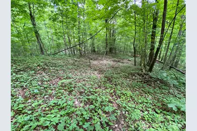 10 Mountain Gait Drive, Mars Hill, NC 28754 - Photo 3