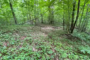 10 Mountain Gait Dr, Mars Hill, NC 28754 - Photo 3