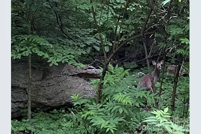 10 Mountain Gait Drive, Mars Hill, NC 28754 - Photo 9