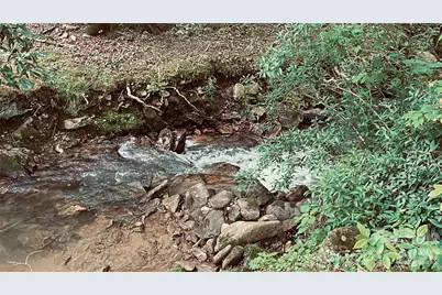 10 Mountain Gait Drive, Mars Hill, NC 28754 - Photo 17