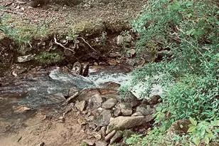 10 Mountain Gait Dr, Mars Hill, NC 28754 - Photo 17