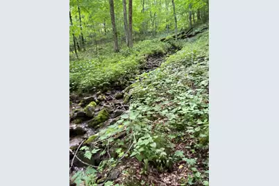 10 Mountain Gait Drive, Mars Hill, NC 28754 - Photo 7