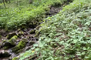 10 Mountain Gait Dr, Mars Hill, NC 28754 - Photo 7