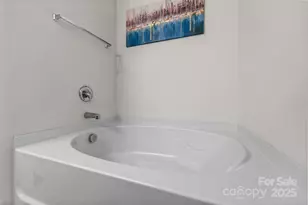 5433 Tumbling Brook Ln, Charlotte, NC 28216 - Photo 29